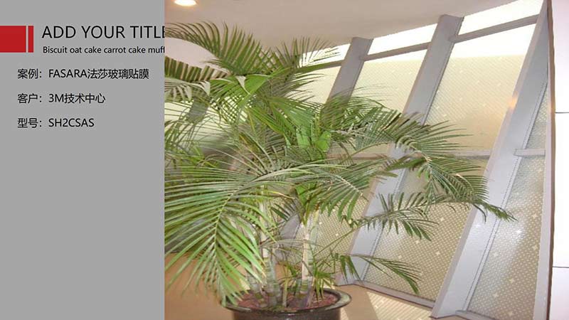 裝飾膜_08 裝飾膜_08